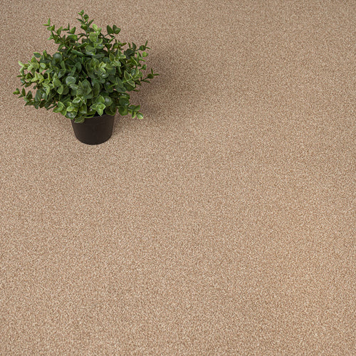 Summer Breeze Stainfree Ultra Carpet by Abingdon