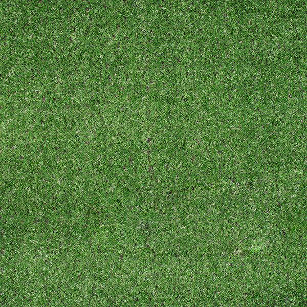 Budget Artificial Grass