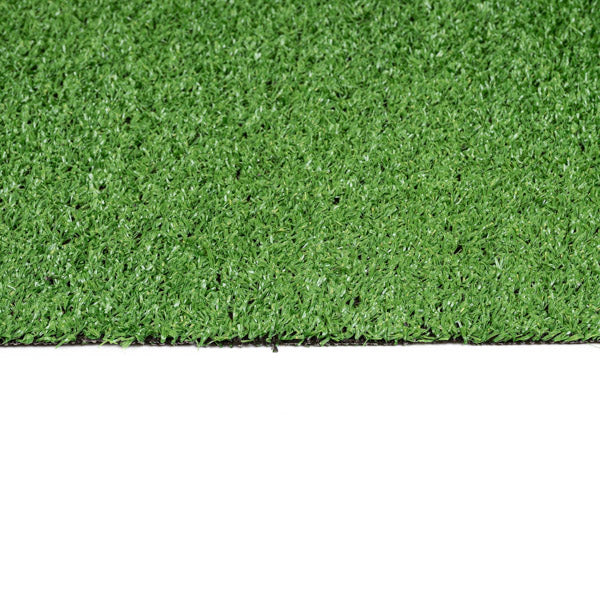 Budget Artificial Grass