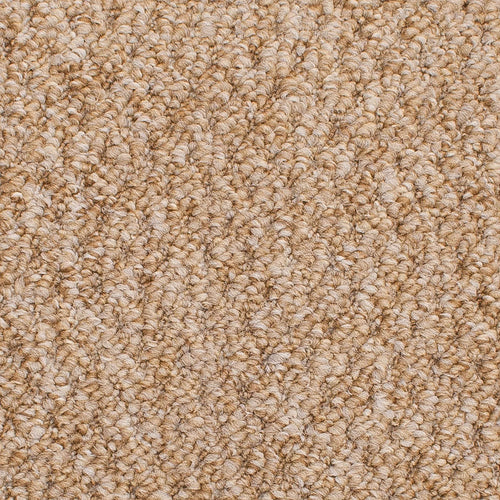 Harvest Beige Sweet Home Felt Backed Carpet 4.15m x 5m Remnant