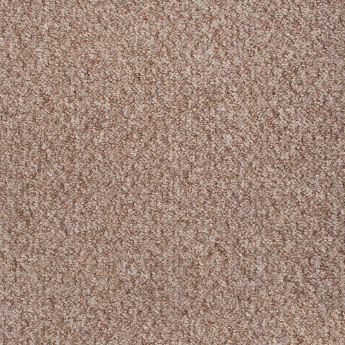 Pecan Sweet Home Felt Backed Carpet 2.2m x 5m Remnant