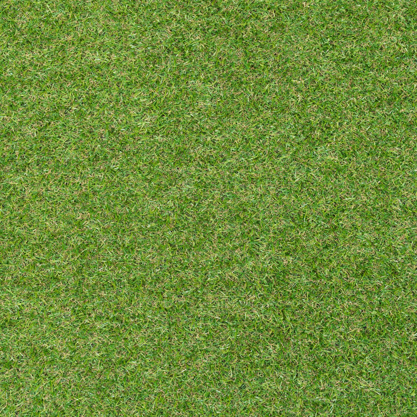 Trent 17mm Artificial Grass