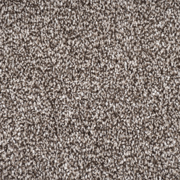 Truffle Florence Saxony Carpet