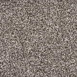 Truffle Florence Saxony Carpet