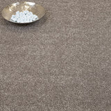 Truffle Florence Saxony Carpet