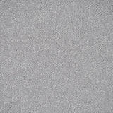 Tundra Frost 04 Stainfree Pure Elegance Carpet by Abingdon