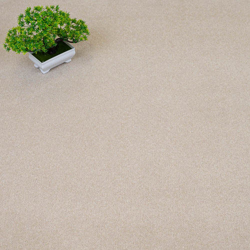 Vanilla Cream Vista Twist Carpet