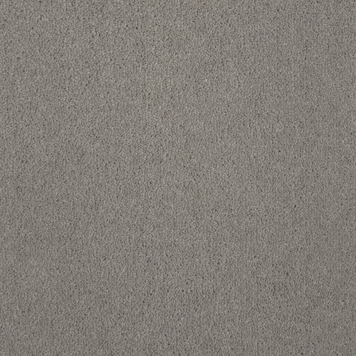 Vintage Grey 50oz Home Counties Carpet 2.05m x 4m Remnant