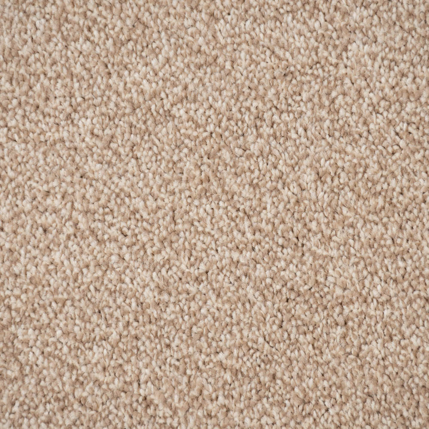 Warm Beige Delaware Saxony Carpet