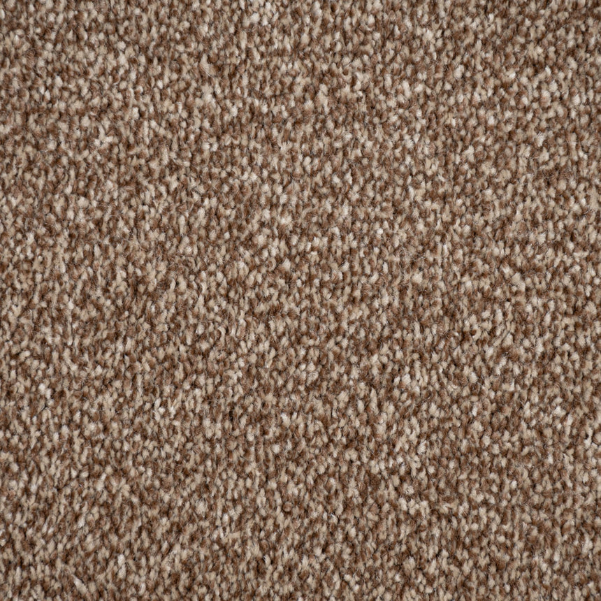 Warm Brown Polaris Luxury Saxony Carpet