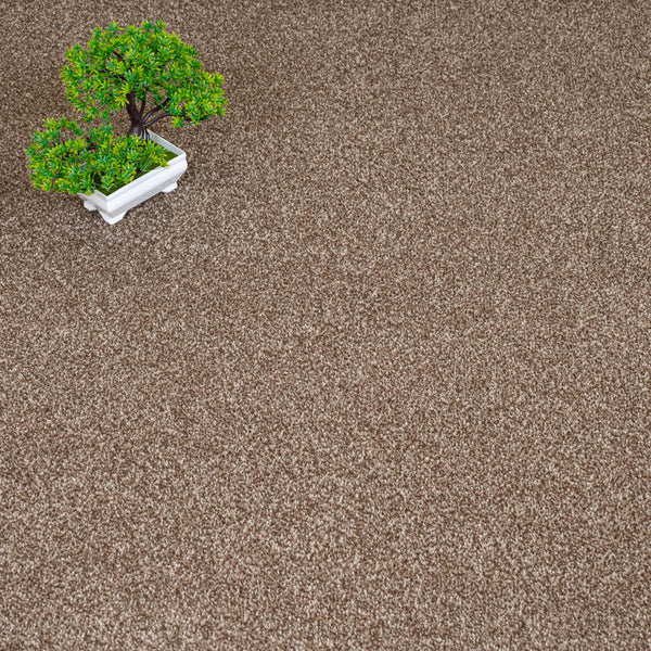 Warm Brown Selene Saxony Carpet