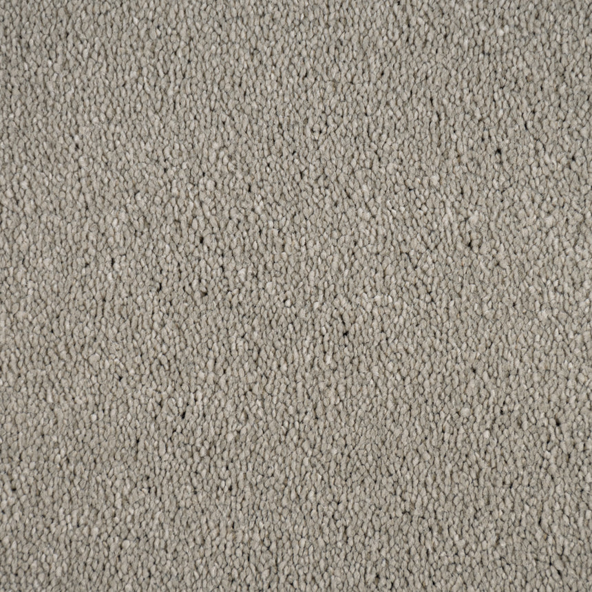 Warm Grey Moxie Saxony Carpet