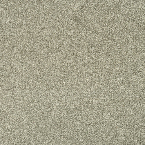 Willow 40 Revolution Heathers Carpet 2.37m x 5m Remnant