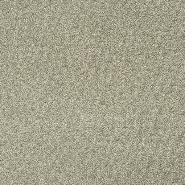 Willow 40 Revolution Heathers Carpet 2.37m x 5m Remnant