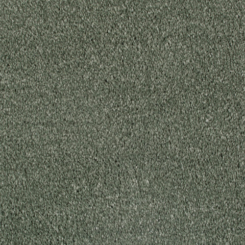 Willow 42 Serano Elite Intenza Carpet 2.51m x 5m Remnant