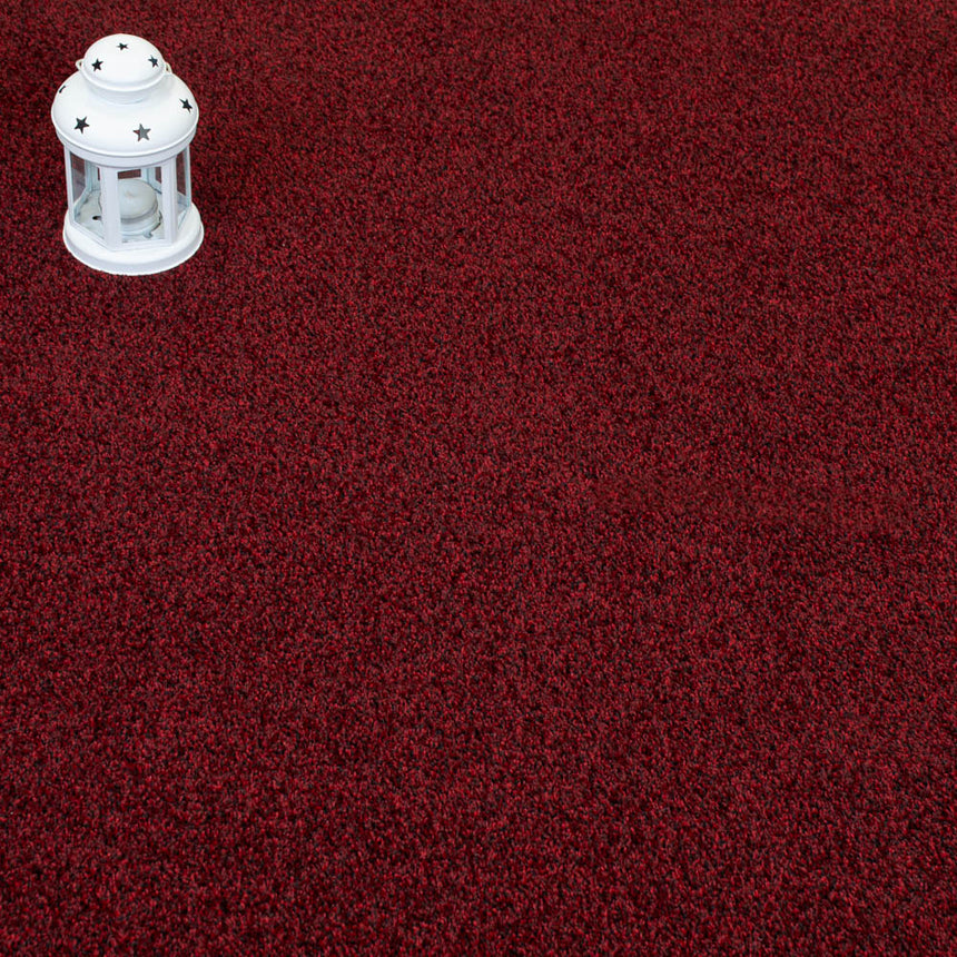 Wine Red Louisiana Saxony Carpet