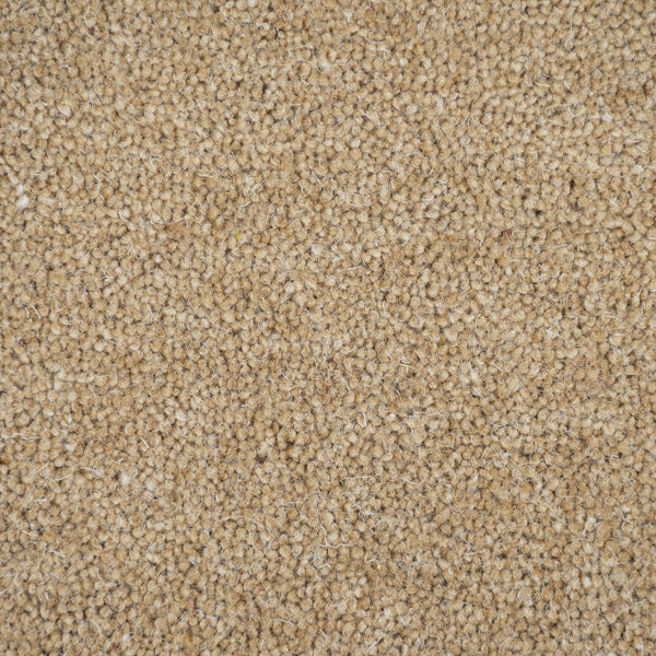 Wood Ash Pembroke Twist Carpet by Cormar