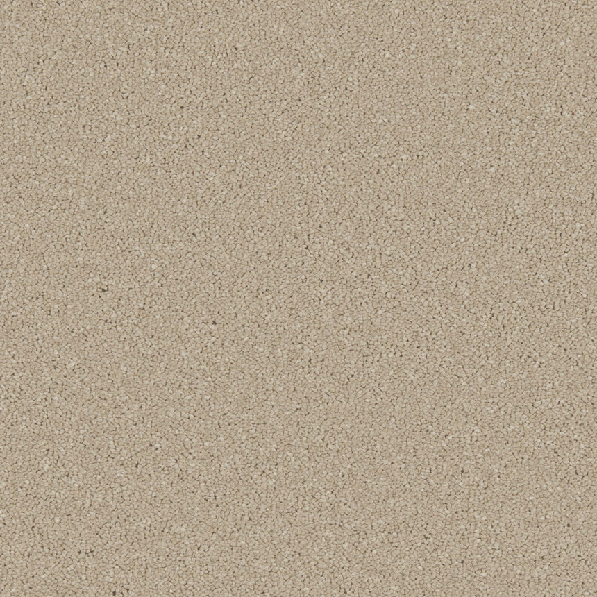 Yorkstone Zenith Twist Carpet by Cormar