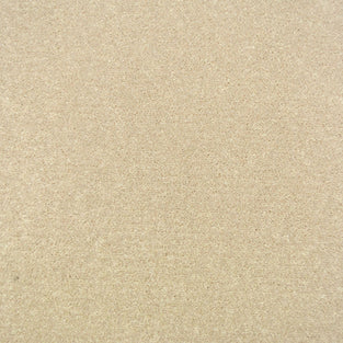 Linen Stainfree Majesty Carpet