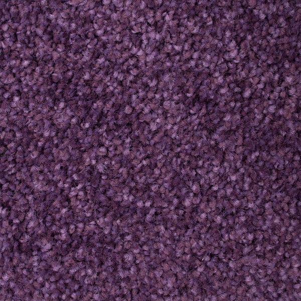 Purple 45 Kapa Carpet