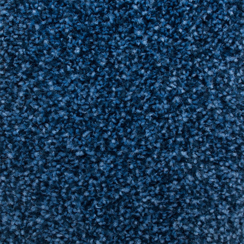 Blue 84 Kapa Carpet