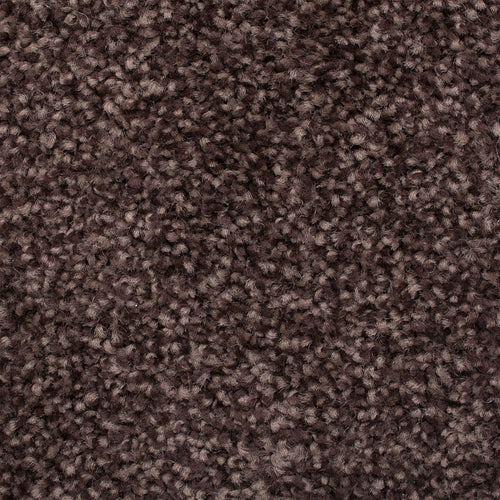 Coffee Brown 97 Kapa Carpet