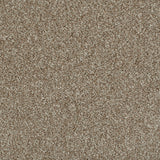 Darius 50oz Heathers Invictus Carpet