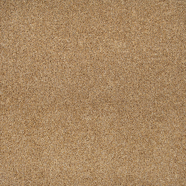 Almond 34 Stainaway Harvest Heathers Deluxe Carpet