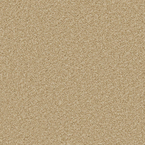 Caramel Apollo Plus Carpet by Cormar