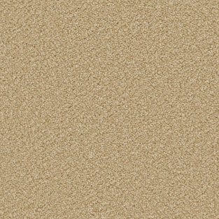 Caramel Apollo Plus Carpet by Cormar