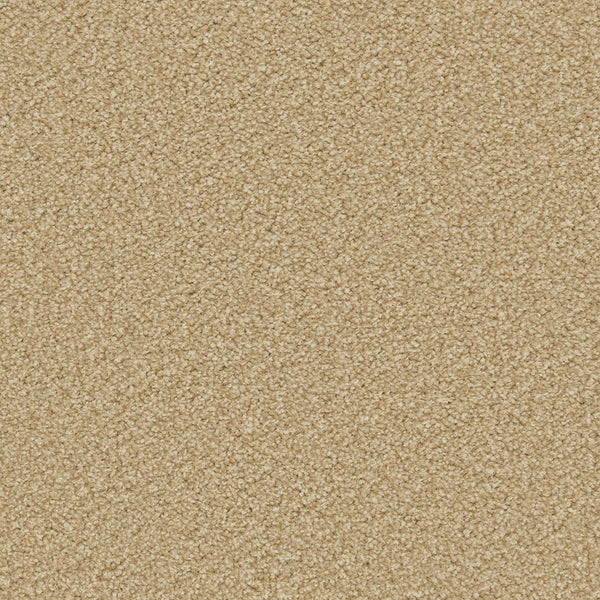 Caramel Apollo Plus Carpet