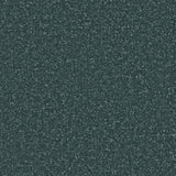 Marine Jade Apollo Plus Carpet by Cormar