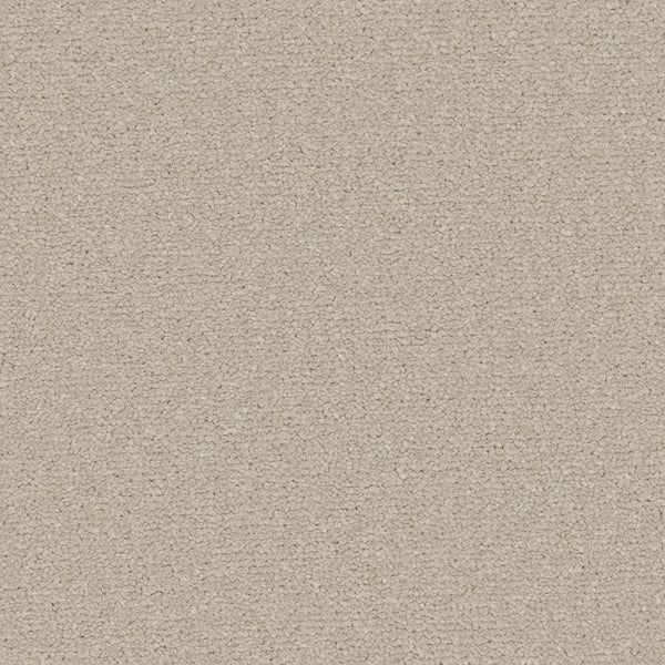 Pebblestone Apollo Plus Carpet