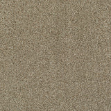 Bark 92 Oxford Saxony Carpet