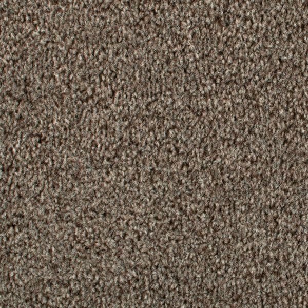 Beaver 965 Dublin Heathers Carpet | Buy Dublin Heathers Twist Carpet ...