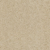 Blanche White 30 Orion 50oz Invictus Carpet