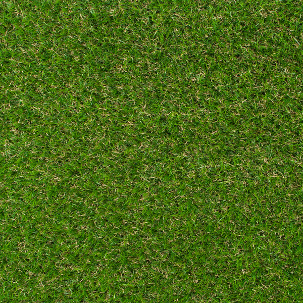 Braidwood 37mm Artificial Grass