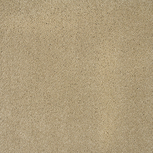 Cambrian Stone Sensation Original 60oz Carpet by Cormar