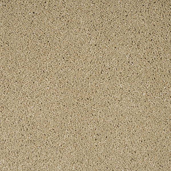 Cambrian Stone Sensation Original 60oz Carpet by Cormar