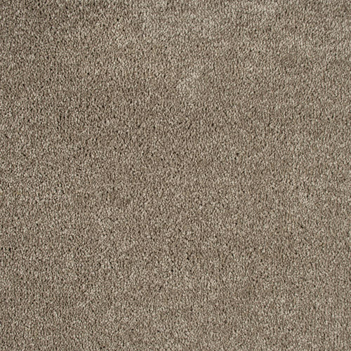 Camel 39 Bellaire Carpet