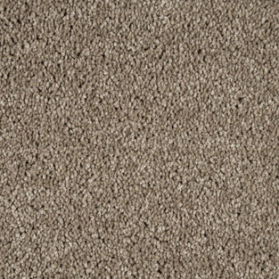 Camel 39 Bellaire Carpet