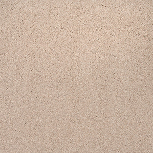 Carnation 38 Sirius 70oz Invictus Carpet Clearance