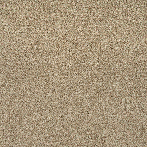 Cocoon Beige 91 StainAway Harvest Heathers Deluxe Carpet