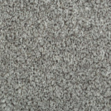 Coin Grey 935 Noble Heathers Saxony Carpet