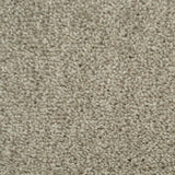 Dusky Beige Iowa Saxony Feltback Carpet