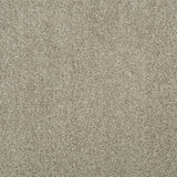 Dusky Beige Iowa Saxony Feltback Carpet