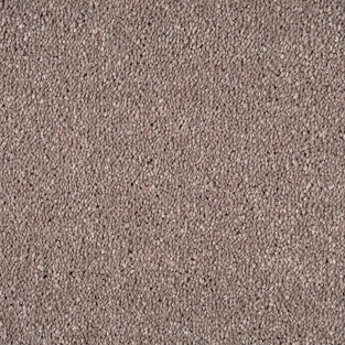 Dusky Rose Sensation Original 60oz Carpet by Cormar