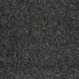 Ebony 99 Splendour iSense Carpet