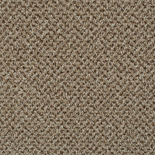 Eddleston 35 Stainaway Tweed Carpet