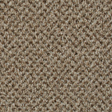 Eddleston 35 Stainaway Tweed Carpet